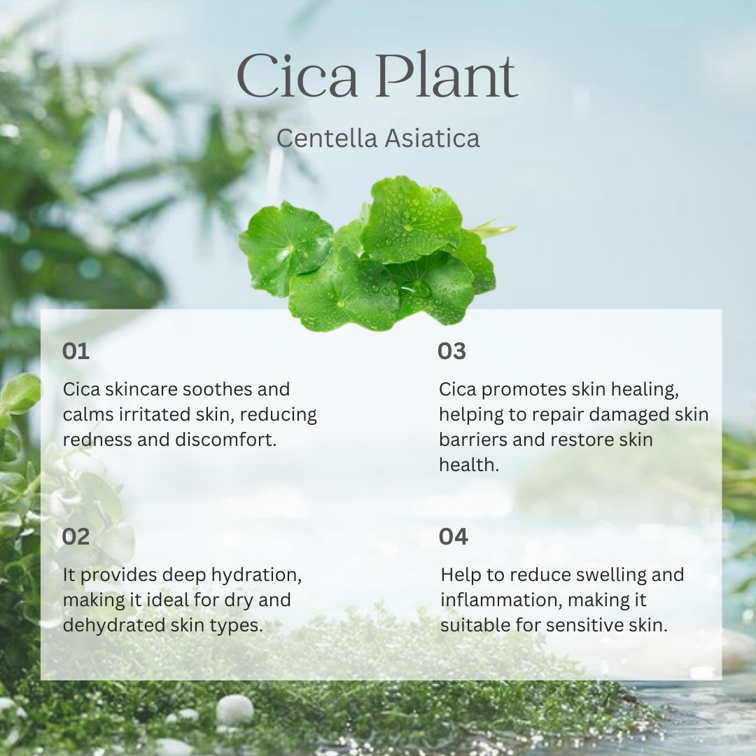 KrX Cica Recovery Bundle